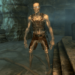 draugr skyrim