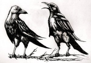 Muninn and Huginn 2