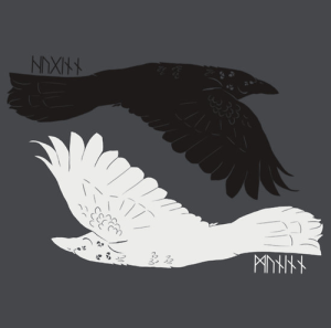 Muninn and Huginn 3